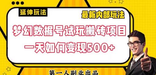 梦幻数据号试玩搬砖项目日入500+高阶玩法揭秘-无双副业