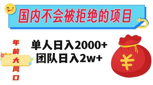 国内热门项目：单人日入2000，团队日入20000+-无双副业