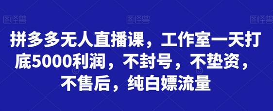 拼多多无人直播课，工作室日赚5000利润，无需售后-无双副业