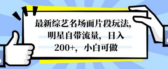 最新综艺片段玩法，明星流量助力，日入200+，新手友好-无双副业