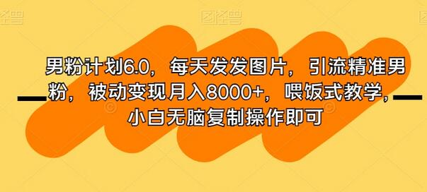 男粉计划6.0：轻松引流精准男粉，被动变现月入8000+-无双副业