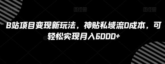 B站变现新玩法：利用天涯神贴实现月入6000+-无双副业