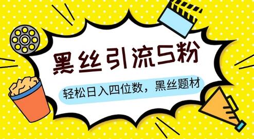 S粉变现技巧：黑丝题材与情感话术结合，轻松日入四位数-无双副业