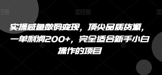 闲鱼数码变现实操指南，新手小白轻松上手，单笔利润200+-无双副业