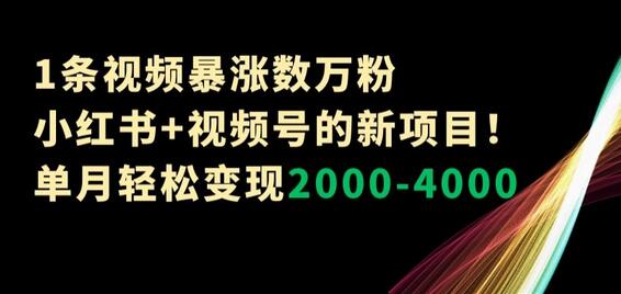 小红书与视频号结合的新项目，单月轻松变现2000-4000元-无双副业