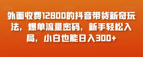 抖音带货新奇玩法，新手轻松入局，小白也能日入300+-无双副业