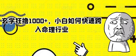 小白如何快速跨入命理行业并实现日入1000+-无双副业