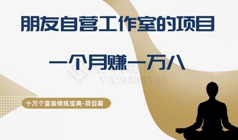 朋友自营工作室项目：光盘修复月入一万八-无双副业