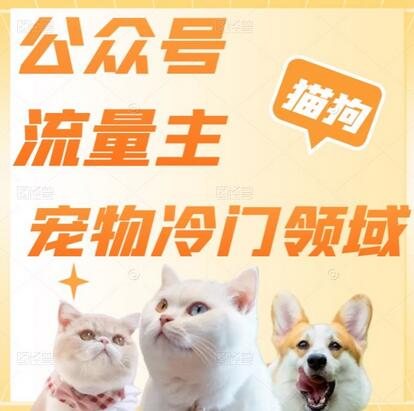 公众号流量主在萌宠冷门领域的单日收益突破2000+-无双副业