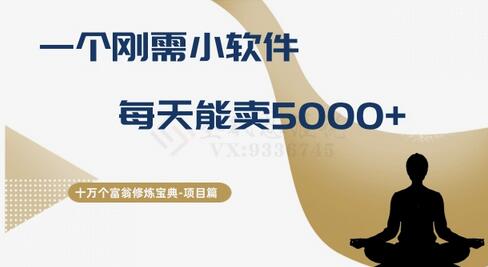 刚需小软件日赚5000+的盈利秘诀-无双副业