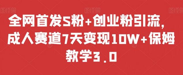 S粉+创业粉引流，成人赛道7天变现10W+保姆教学3.0-无双副业