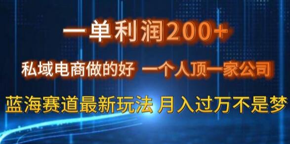 私域电商高利润玩法，一人顶一家公司的蓝海赛道-无双副业
