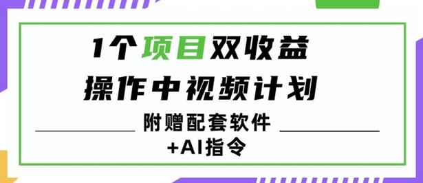 双收益项目中视频计划操作指南及收益分析-无双副业