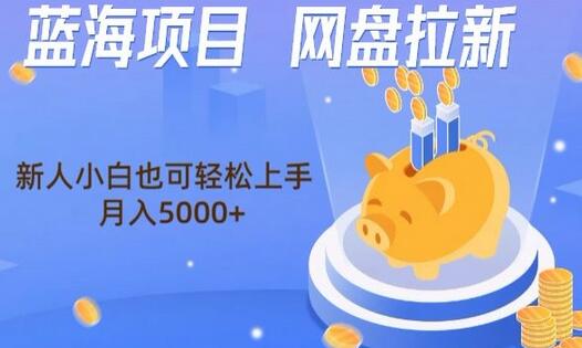 网盘拉新项目，新手轻松上手，月入5000+-无双副业