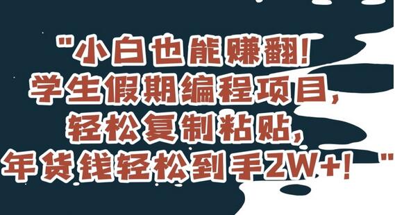 学生假期编程项目，轻松复制粘贴，年货钱轻松到手2W+-无双副业