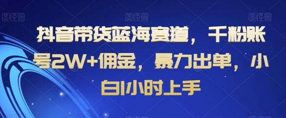 抖音带货蓝海赛道，千粉账号高佣金，小白快速上手-无双副业