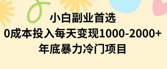 小白副业首选：0成本投入，日赚1000-2000年底冷门项目-无双副业