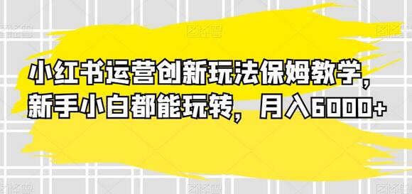 小红书运营创新玩法教学，新手轻松月入6000+-无双副业