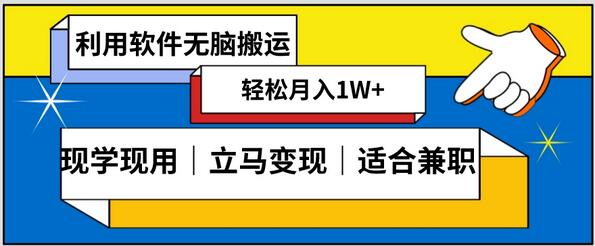 低密度新赛道视频搬运日赚1000+，零成本零门槛超简单-无双副业