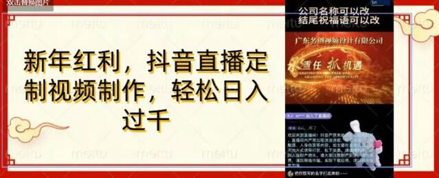 定制视频直播变现项目，轻松日入1000元-无双副业