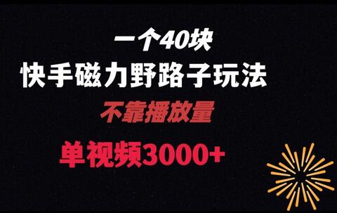 快手联合美团磁力新玩法，单视频收益高达4位数-无双副业