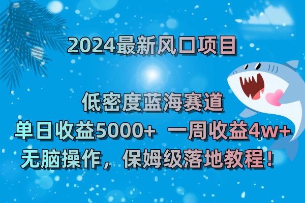 2024低密度蓝海赛道项目，日收益5000+周收益4w+-无双副业
