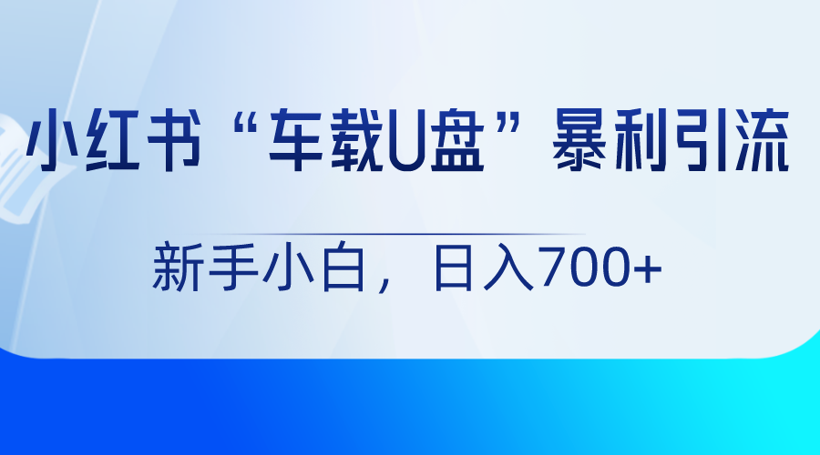 小红书车载U盘项目，新手轻松日入700+的暴利引流玩法-无双副业