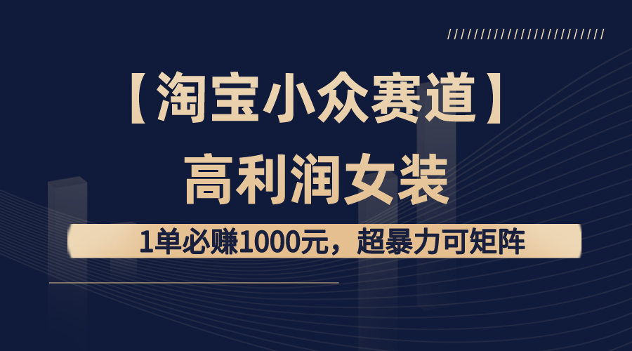 高利润女装淘宝小众赛道：单笔利润1000元，矩阵操作指南-无双副业
