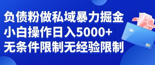 负债粉私域变现，小白轻松月入5000，无经验无条件限制-无双副业