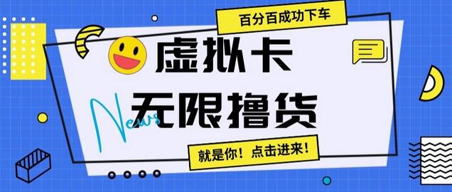 虚拟卡无限撸货教程，百分百成功下车指南-无双副业