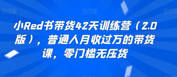 小红书带货42天训练营，零门槛月入过万的副业课程-无双副业