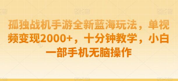 孤独战机手游蓝海玩法，单视频变现2000+，小白轻松操作-无双副业