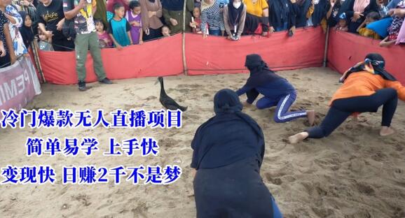 冷门爆款无人直播项目，简单易学变现快-无双副业