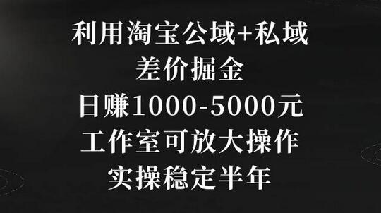 淘宝公域私域差价掘金，日赚1000-5000元，工作室可放大操作-无双副业