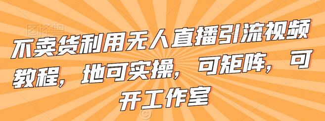 不卖货利用无人直播引流视频教程，实操可矩阵可开工作室-无双副业