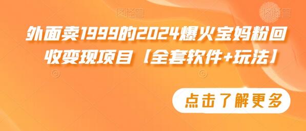 2024宝妈粉回收变现项目全套软件与玩法-无双副业