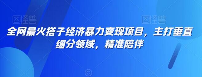 搭子经济暴力变现项目，垂直细分领域的精准陪伴-无双副业