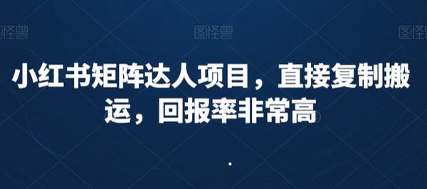 小红书矩阵达人项目，复制搬运高回报率-无双副业