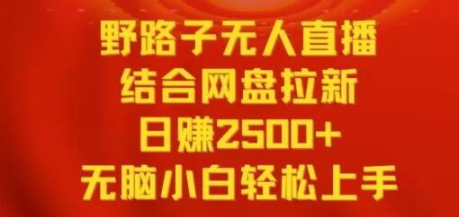 无人直播结合网盘拉新，日赚2500+，小白轻松上手-无双副业