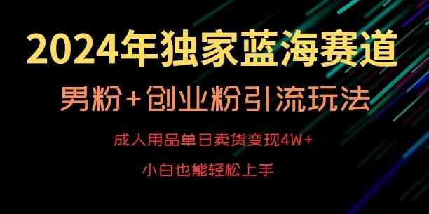 2024年成人用品蓝海赛道，单日变现4W+，男粉创业粉引流玩法-无双副业