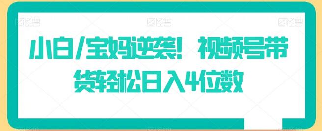 小白宝妈逆袭！视频号带货轻松日入4位数-无双副业