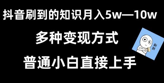 抖音知识变现：每天2小时轻松日入2000+，小白也能快速上手-无双副业