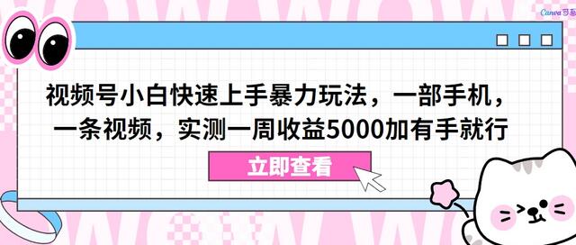 视频号小白快速上手暴力玩法，一部手机一周收益5000加-无双副业