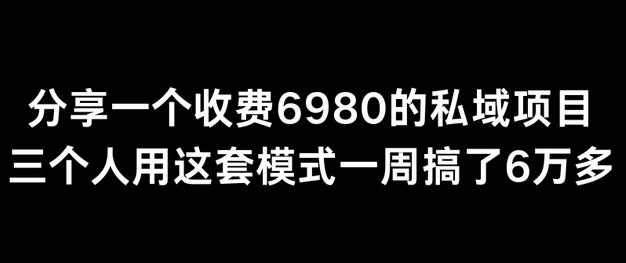 私域项目实战：三人一周赚6万多的高效模式分享-无双副业