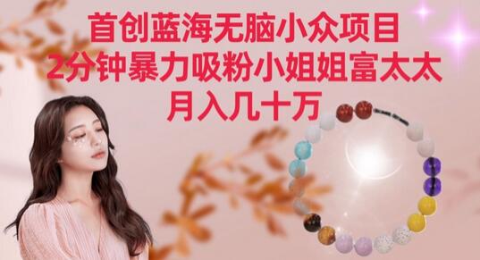 首创蓝海小众项目，2分钟吸粉小姐姐富太太，月入几十万-无双副业