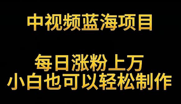 中视频蓝海项目：解读英雄人物，轻松涨粉月入过万-无双副业