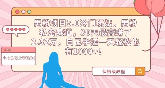 男粉项目5.0冷门玩法，30天最高赚2.32万-无双副业