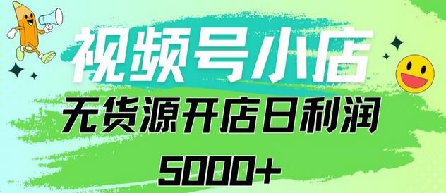 视频号无货源小店日订单千单以上纯利润5000+-无双副业