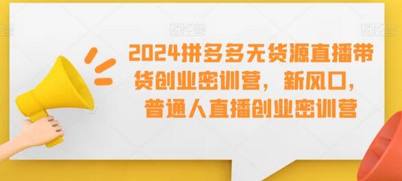 2024拼多多无货源直播带货创业密训营，新风口，普通人直播创业密训营-无双副业