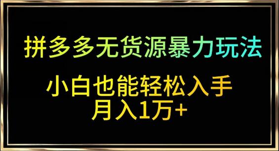 拼多多无货源店铺玩法，小白轻松月入过万-无双副业